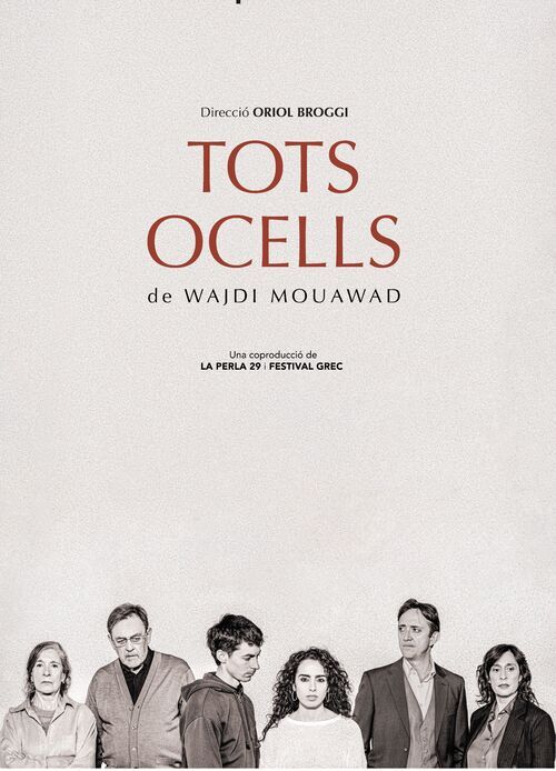 Tots ocells